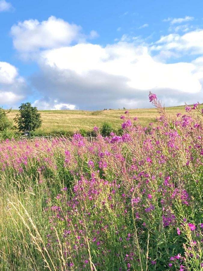 Hotspur House Bed & Breakfast Allendale Dış mekan fotoğraf